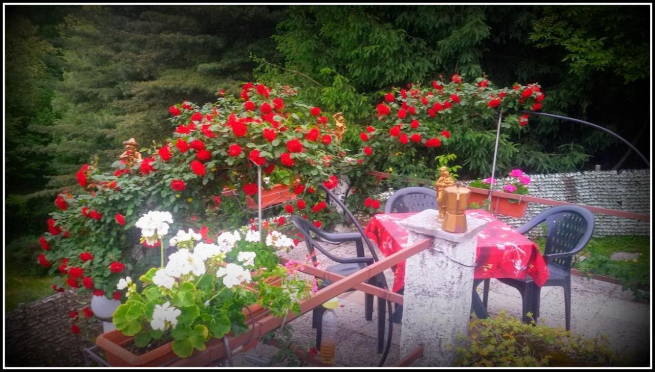 فيلا Al Cios Lago Maggiore Orino المظهر الخارجي الصورة